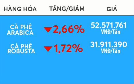 Giá cà phê giảm mạnh - Ảnh 1.