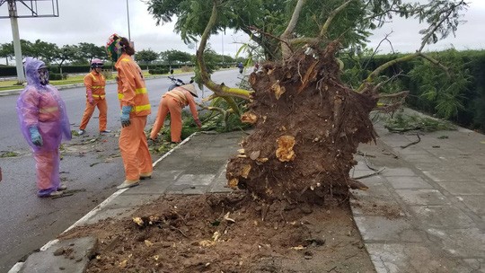 Cận cảnh nơi bão số 2 vừa quét qua - Ảnh 5.