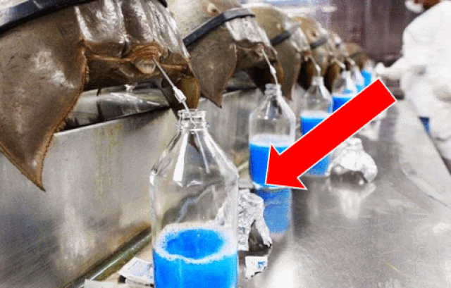 Giải mã loại chất lỏng đắt đỏ bậc nhất thế giới “1 lít hơn 400 triệu đồng” - Ảnh 2. Giải mã loại chất lỏng đắt đỏ bậc nhất thế giới “1 lít hơn 400 triệu đồng” - Ảnh 2.