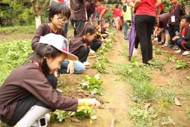 Chẳng cần đi đâu xa, Hà Nội cũng có những nơi lý tưởng để tận hưởng trọn vẹn kỳ nghỉ lễ 2/9 - Ảnh 6.