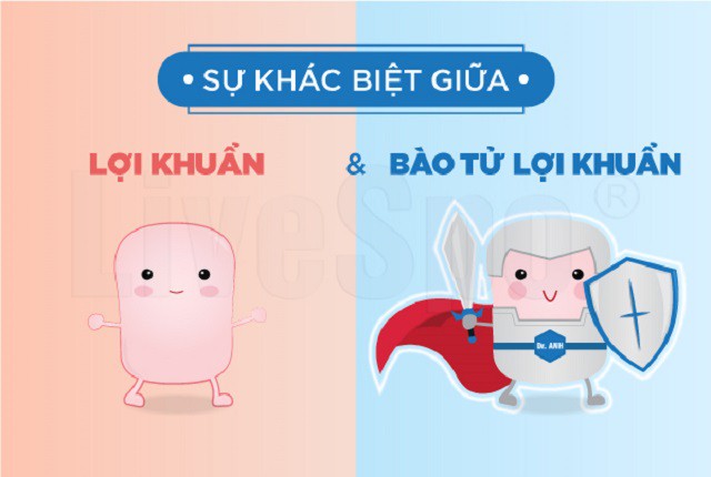 Lựa chọn men vi sinh chất lượng bằng cách phân biệt lợi khuẩn thường và bào tử lợi khuẩn? - Ảnh 1.