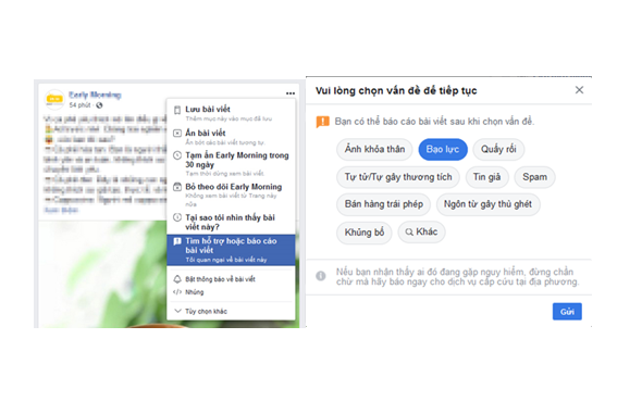 Tất tần tật về tính năng Report trên Facebook - Ảnh 2.