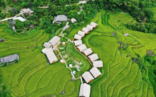 Ngỡ ngàng vẻ đẹp ruộng bậc thang Hoàng Su Phì mùa lúa chín - Ảnh 6.