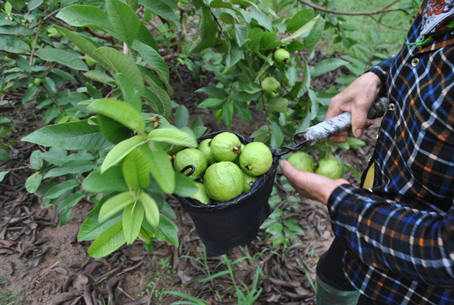 Cùng cô nàng đỏng đảnh của Sống chung với mẹ chồng trải nghiệm Chuyến đi màu xanh - Ảnh 3.