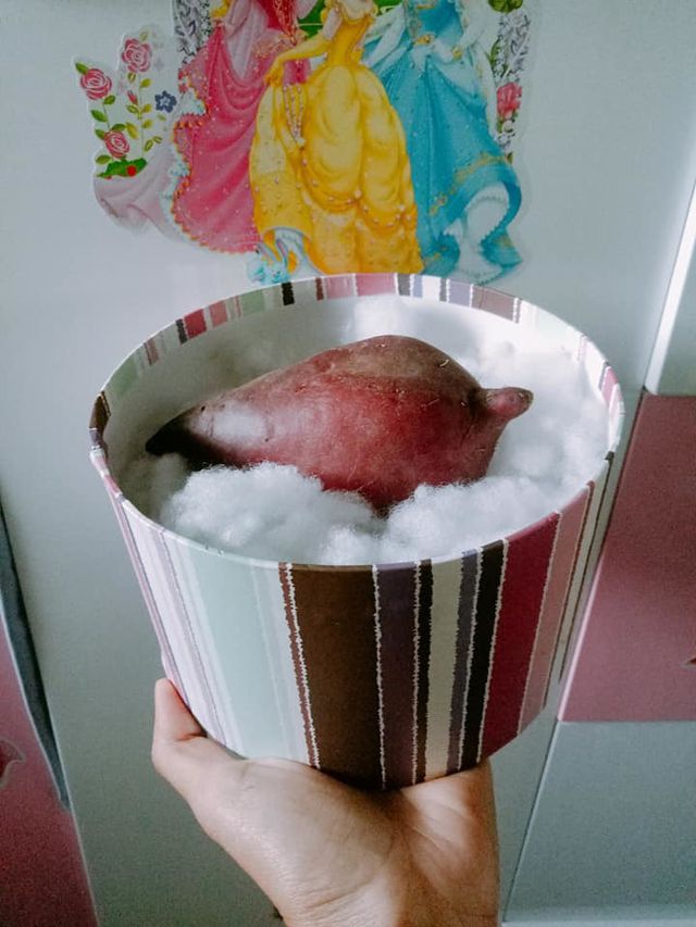Muôn kiểu quà độc lạ chúc mừng hội chị em nhân dịp 8/3 - Ảnh 8.