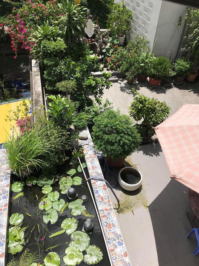 Ngắm căn biệt thự sang trọng ngập tràn hoa lá của Hồ Ngọc Hà - Ảnh 20. Ngắm căn biệt thự sang trọng ngập tràn hoa lá của Hồ Ngọc Hà - Ảnh 20.