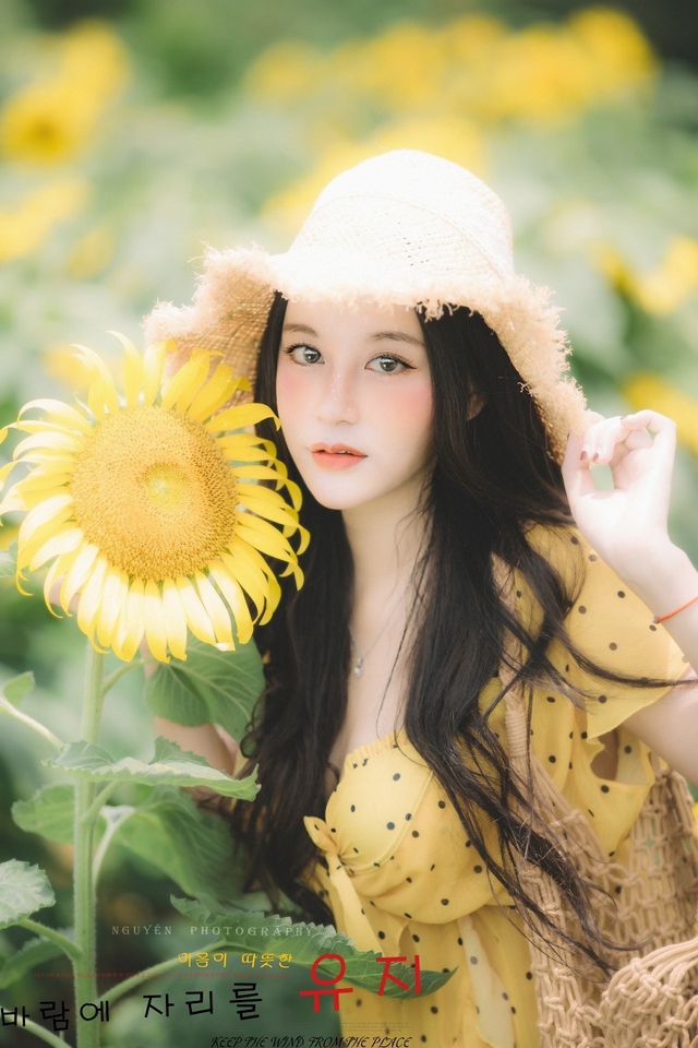 Hot girl ĐH Thương mại gây thương nhớ với bộ ảnh bên hoa hướng dương - Ảnh 2.
