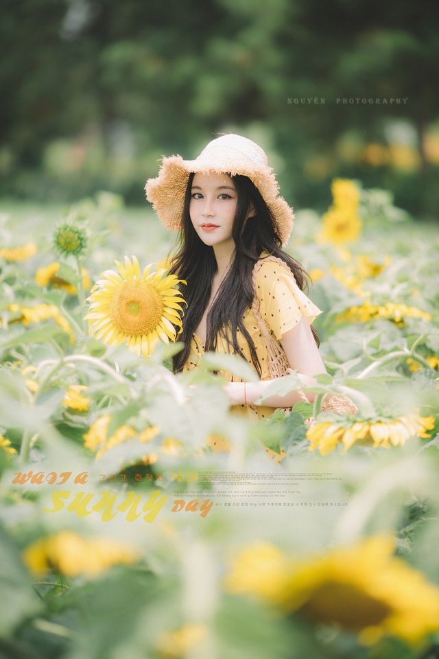 Hot girl ĐH Thương mại gây thương nhớ với bộ ảnh bên hoa hướng dương - Ảnh 3.