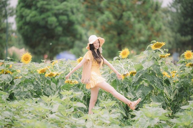 Hot girl ĐH Thương mại gây thương nhớ với bộ ảnh bên hoa hướng dương - Ảnh 8.