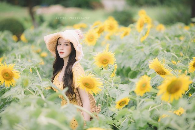 Hot girl ĐH Thương mại gây thương nhớ với bộ ảnh bên hoa hướng dương - Ảnh 11.