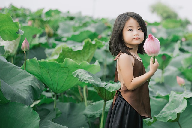 Bé gái Bắc Ninh xinh như thiên thần bên hoa sen - Ảnh 5. Bé gái Bắc Ninh xinh như thiên thần bên hoa sen - Ảnh 5.