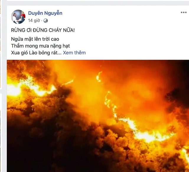Khóc cùng bài thơ Rừng ơi, đừng cháy nữa! của cô giáo dạy Sử - Ảnh 1. Khóc cùng bài thơ Rừng ơi, đừng cháy nữa! của cô giáo dạy Sử - Ảnh 1.