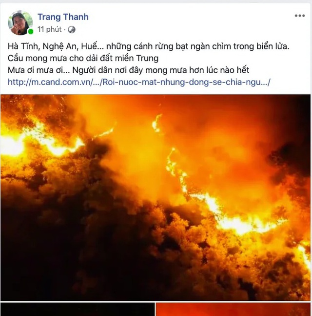 Khóc cùng bài thơ Rừng ơi, đừng cháy nữa! của cô giáo dạy Sử - Ảnh 3. Khóc cùng bài thơ Rừng ơi, đừng cháy nữa! của cô giáo dạy Sử - Ảnh 3.