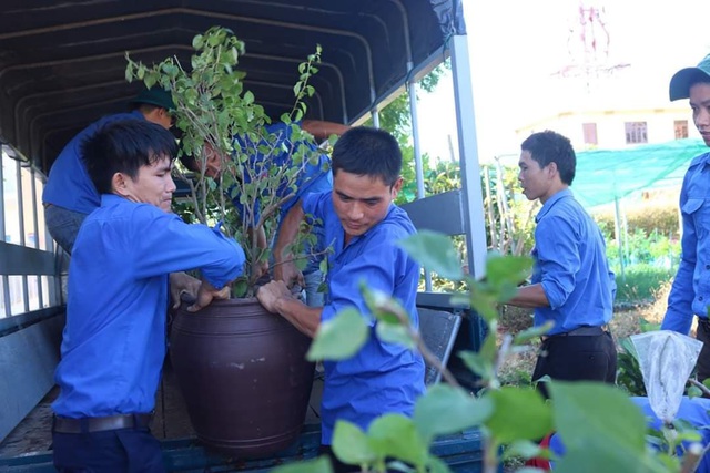 Đoàn viên, thanh niên Quảng Trị trồng hoa giấy làm đẹp đảo Cồn Cỏ - Ảnh 2.