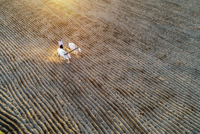 Vẻ đẹp lao động của Việt Nam trong những khoảnh khắc của thế giới - Ảnh 13.