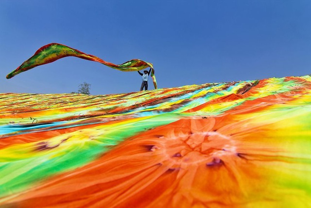 Vẻ đẹp lao động của Việt Nam trong những khoảnh khắc của thế giới - Ảnh 15.