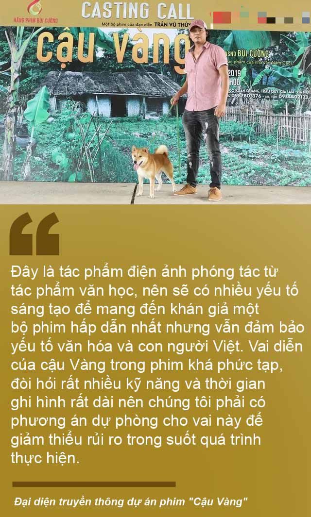 Tranh luận xung quanh chú chó đóng phim “Cậu Vàng” - Ảnh 1. Tranh luận xung quanh chú chó đóng phim “Cậu Vàng” - Ảnh 1.