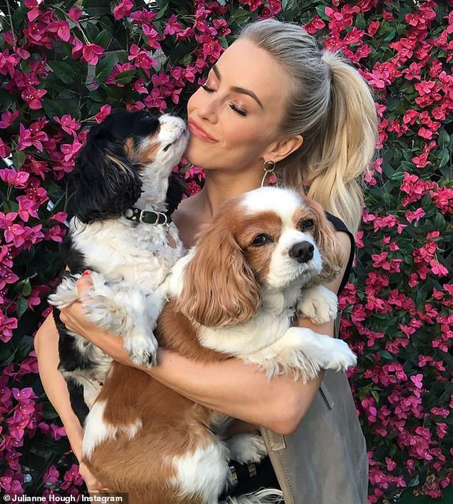 Julianne Hough đau buồn khi mất 2 cún cưng - Ảnh 1.