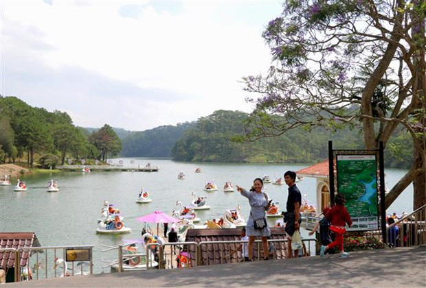 Đà Lạt: Đình chỉ thi công công trình không phép ở Thung lũng Tình yêu - Ảnh 1.