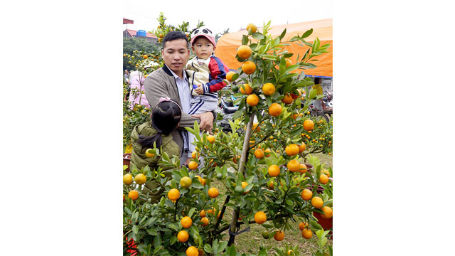 
Shopping around the Tet market.
