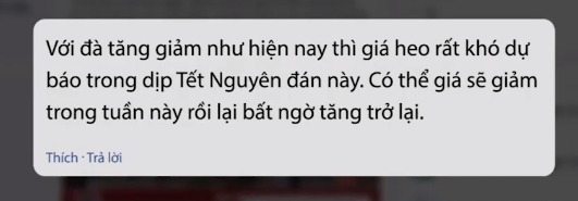 Giá thịt lợn có hạ nhiệt đón Tết? - Ảnh 1.