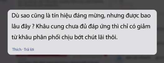 Giá thịt lợn có hạ nhiệt đón Tết? - Ảnh 3.