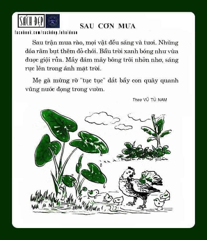 Thân thương những bộ SGK đi cùng năm tháng với thế hệ 7x, 8x - Ảnh 35.