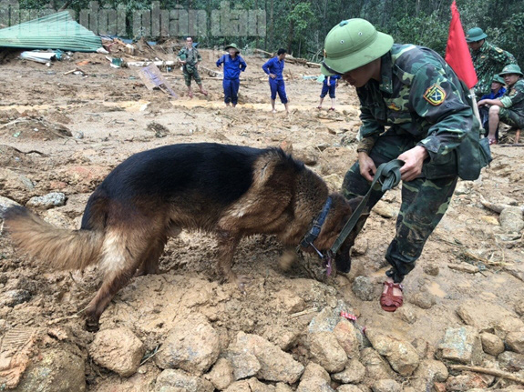 Có khả năng tìm kiếm nhiều công nhân mất tích ở thân đập thủy điện Rào Trăng 3 - Ảnh 2.