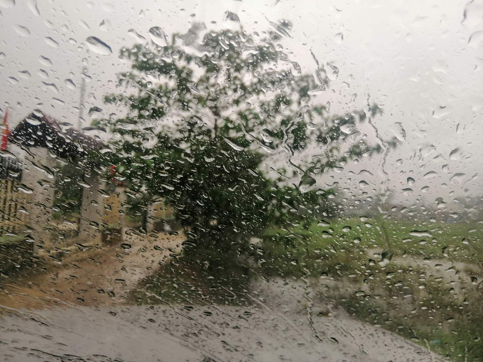 viber_image_2020-10-15_16-18-49