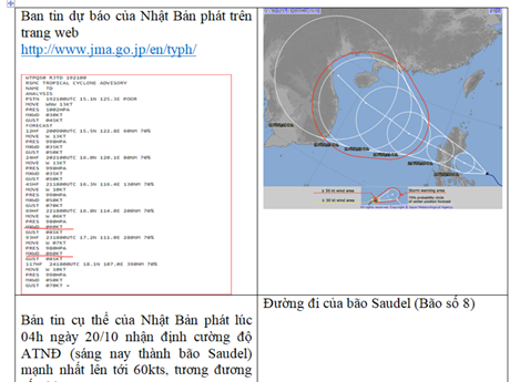 Thông tin giả mạo về bão số 8 là vô lương tâm - Ảnh 1.