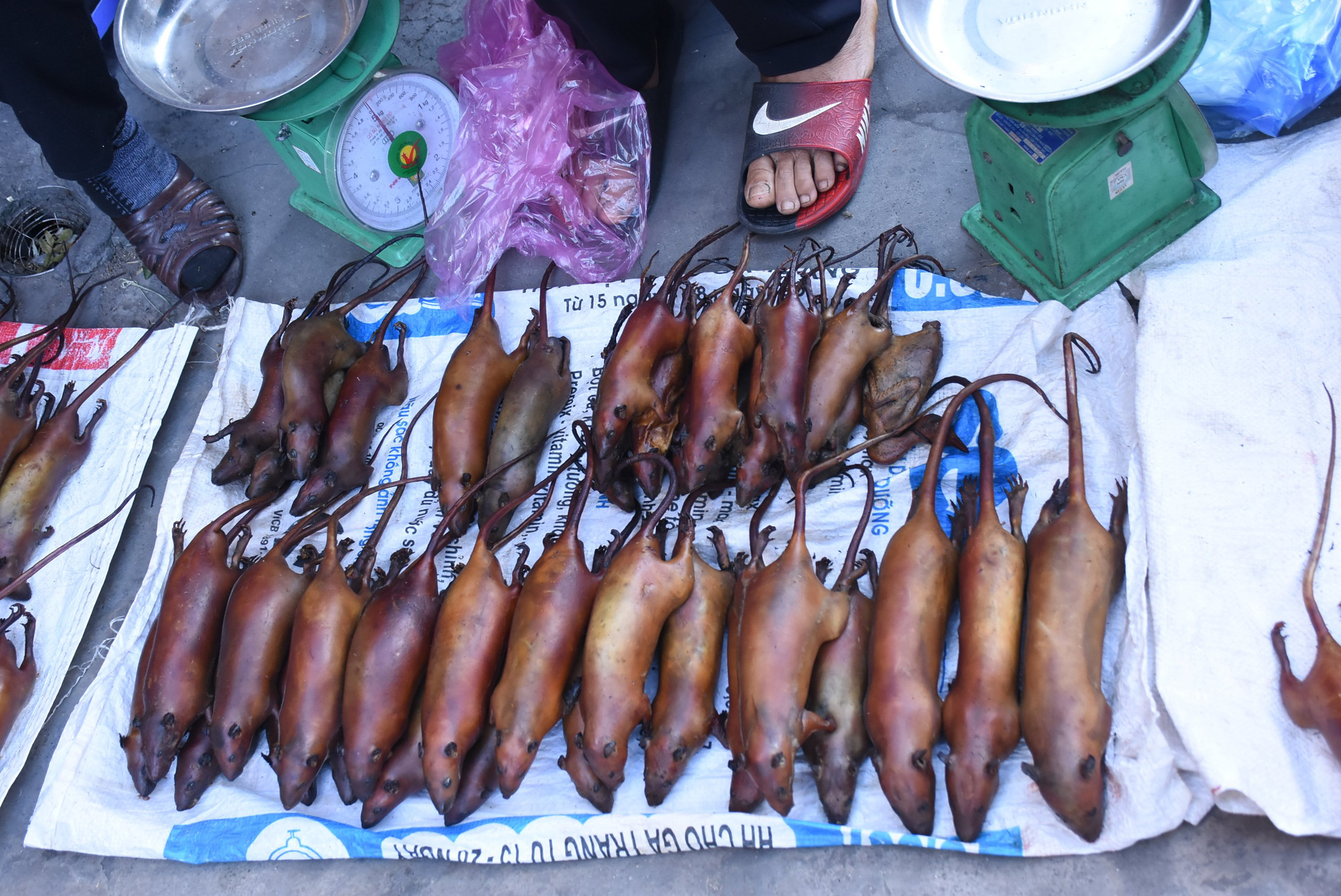 THỊT CHUỘT LUỘC CHÍN TỚI GIỮ NGUYÊN ĐỘ NGỌT VÀ DAI TỰ NHIÊN
