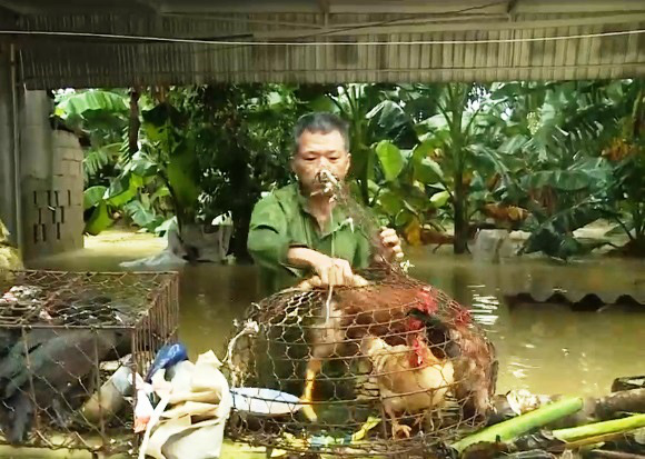 Lũ chồng lũ khiến người dân Hà Tĩnh kiệt quệ, mệt mỏi - Ảnh 3.