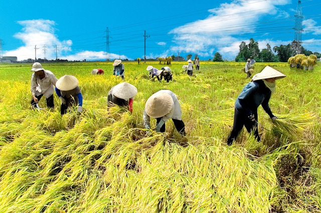 Nhiều nỗi niềm nông dân gửi Thủ tướng - Ảnh 2.