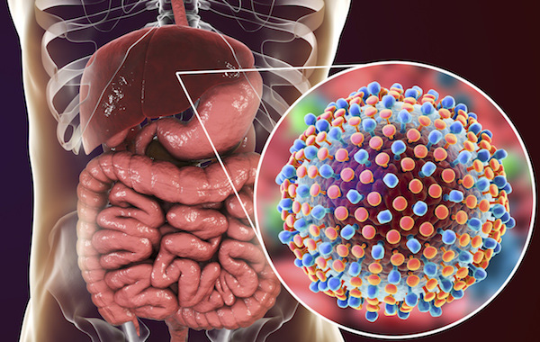 Tầm quan trọng của nghiên cứu về virus Viêm gan C được vinh danh tại giải Nobel Y học 2020 - Ảnh 3.