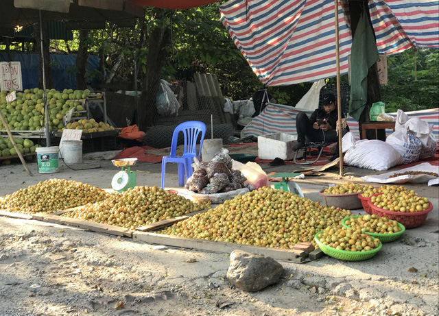 Táo mèo giá rẻ bán la liệt vỉa hè, dân Hà thành gom mua cả chục cân - Ảnh 1.