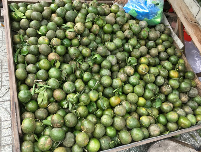 Trái cây đang có giá rẻ không tưởng, chất đầy các hè đường TP.HCM - Ảnh 2. Trái cây đang có giá rẻ không tưởng, chất đầy các hè đường TP.HCM - Ảnh 2.