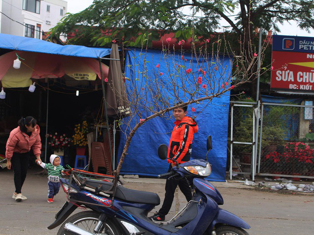 Đào Tết xuống phố sớm: Tiểu thương hét giá mỗi cành 1 triệu đồng - Ảnh 5.