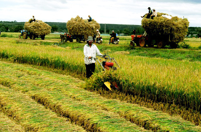 Việt Nam nổi lên là thiên đường sản xuất mới tại Đông Nam Á - Ảnh 3.