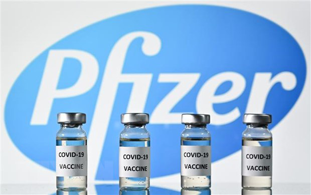 Singapore - nước đầu tiên ở Đông Nam Á tiêm vaccine COVID-19 cho người dân - Ảnh 1.