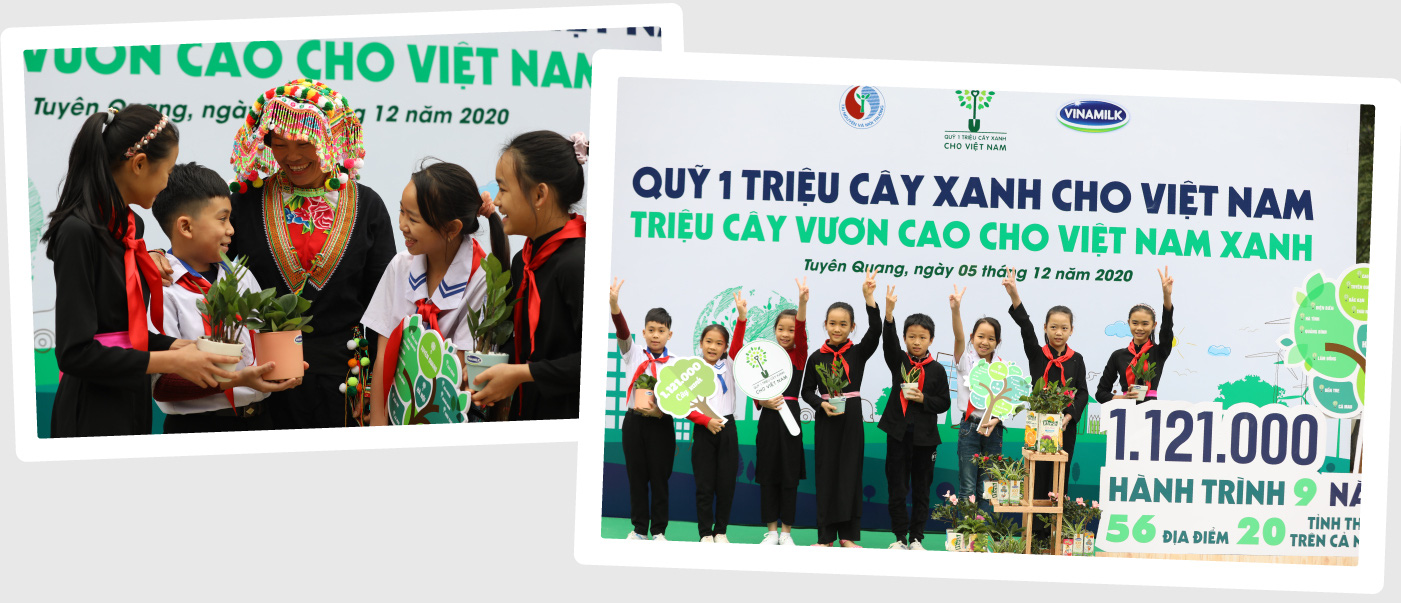 “Triệu cây vươn cao cho Việt Nam xanh” - Dấu ấn 9 năm tô màu xanh đất nước - Ảnh 3.