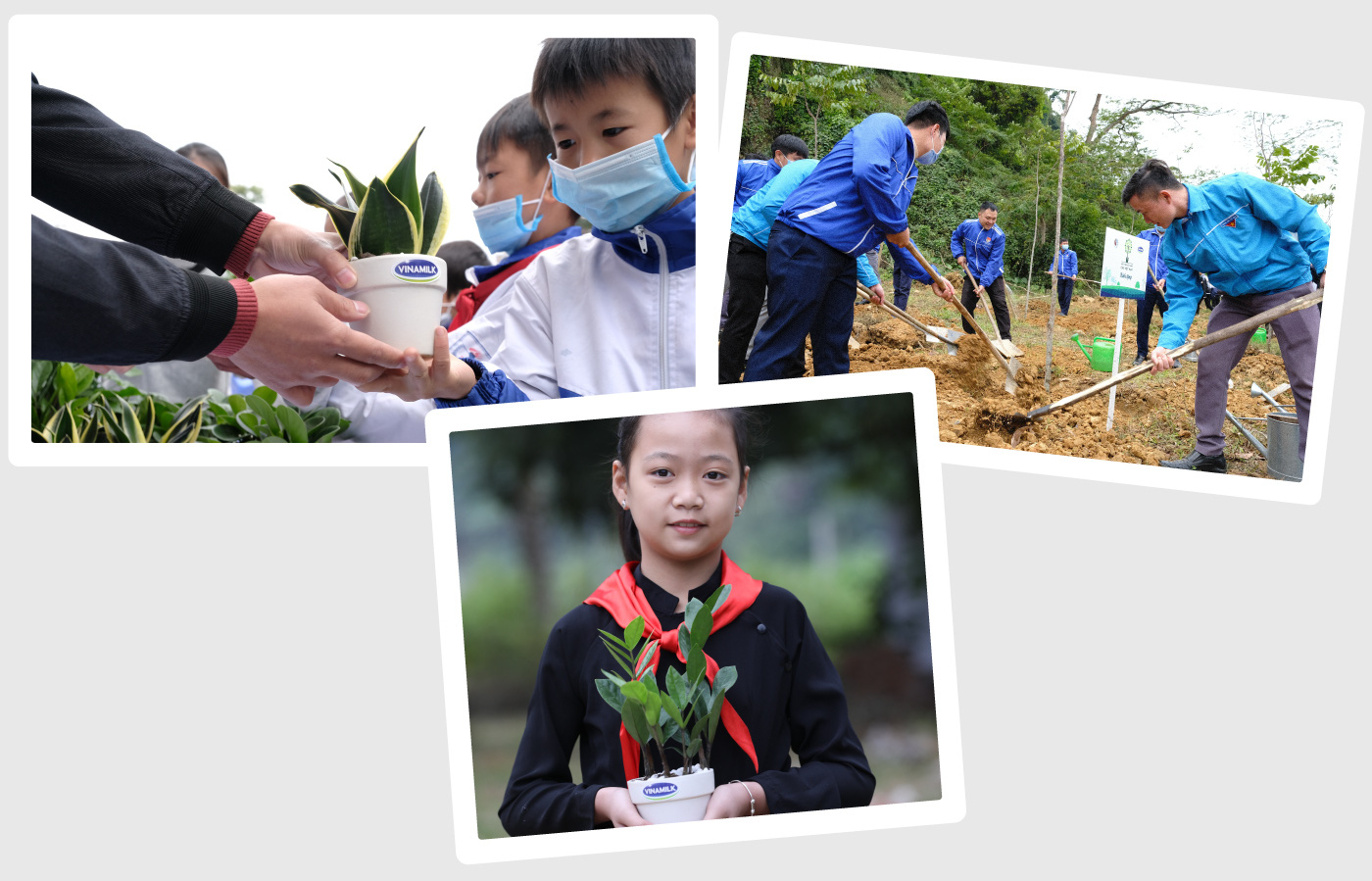 “Triệu cây vươn cao cho Việt Nam xanh” - Dấu ấn 9 năm tô màu xanh đất nước - Ảnh 15.