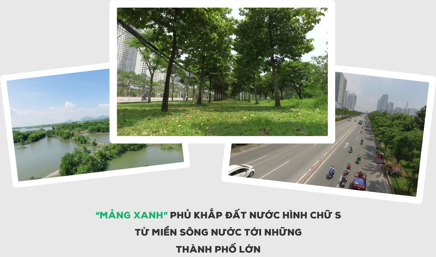 “Triệu cây vươn cao cho Việt Nam xanh” - Dấu ấn 9 năm tô màu xanh đất nước - Ảnh 11.