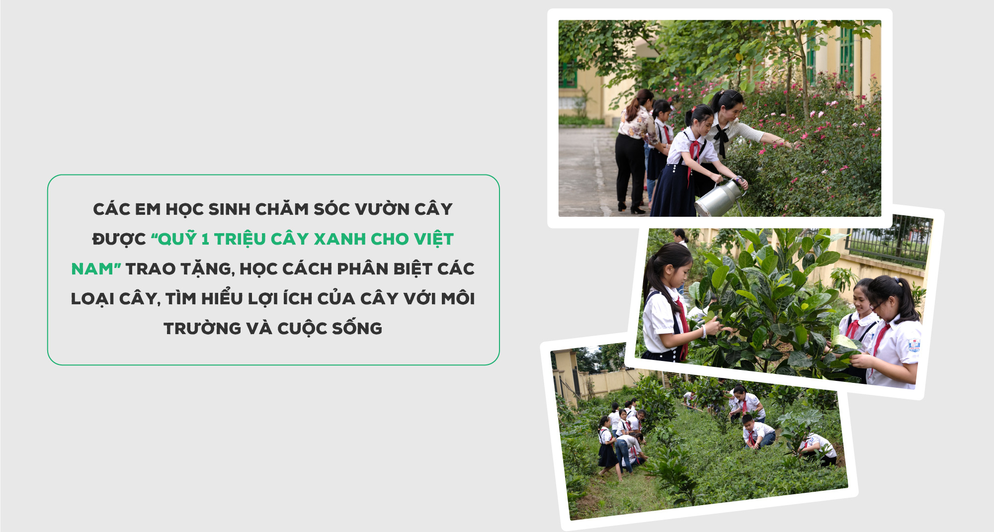 “Triệu cây vươn cao cho Việt Nam xanh” - Dấu ấn 9 năm tô màu xanh đất nước - Ảnh 12.