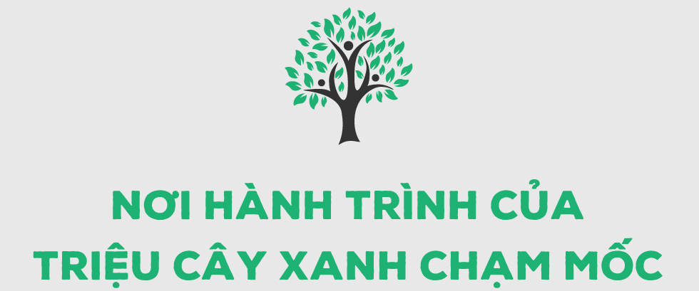 “Triệu cây vươn cao cho Việt Nam xanh” - Dấu ấn 9 năm tô màu xanh đất nước - Ảnh 1.