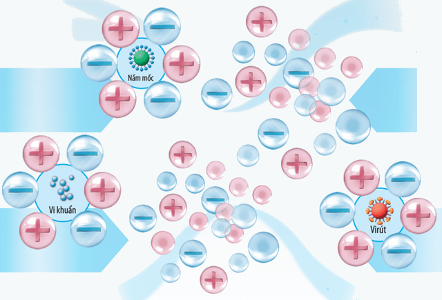 Máy lọc không khí có thể tiêu diệt được virus Covid-19 hay không? - Ảnh 3.