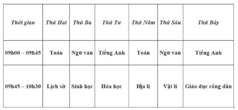 Học sinh lớp 12 ở Đà Nẵng sẽ ôn tập qua truyền hình - Ảnh 1.