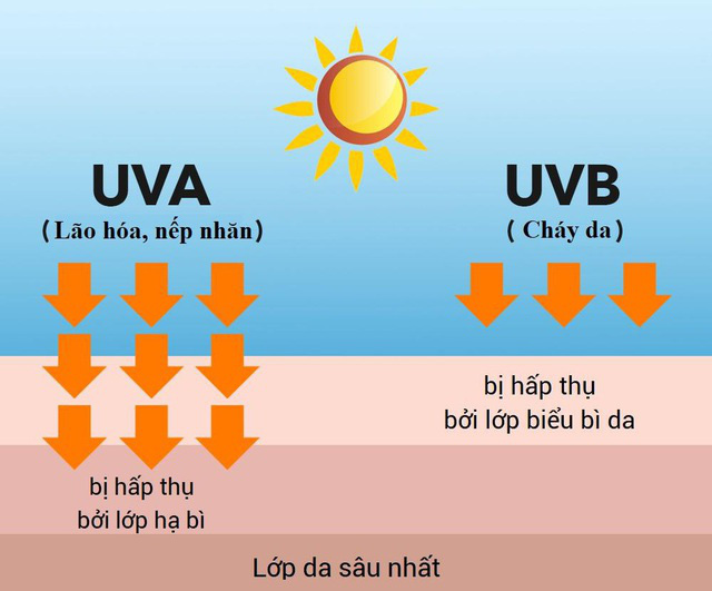 Có nên mua dụng cụ kháng khuẩn chống COVID-19 bằng tia UV tại nhà? - Ảnh 2.