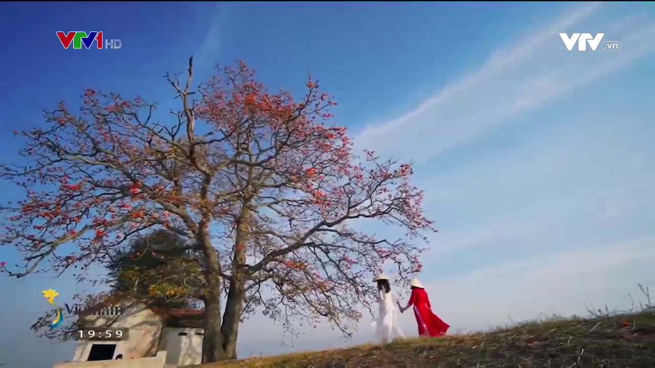 Check-in c&acirc;y gạo đỏ rực g&acirc;y sốt ở Bắc Giang - Ảnh 10.