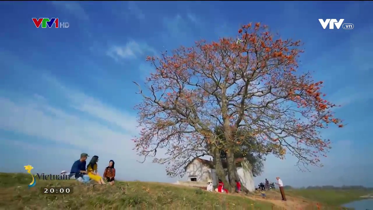 Check-in c&acirc;y gạo đỏ rực g&acirc;y sốt ở Bắc Giang - Ảnh 13.