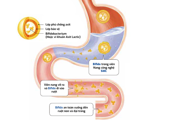 Bí quyết “đánh bại” rối loạn tiêu hóa do uống rượu bia - Ảnh 2.